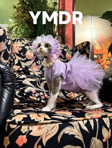 YMDR德文衣服宠物公主蓬蓬纱裙