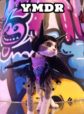 YMDR德文猫衣服无毛衣服德文帽子秋冬款万圣节搞怪小恶魔尖角翅膀