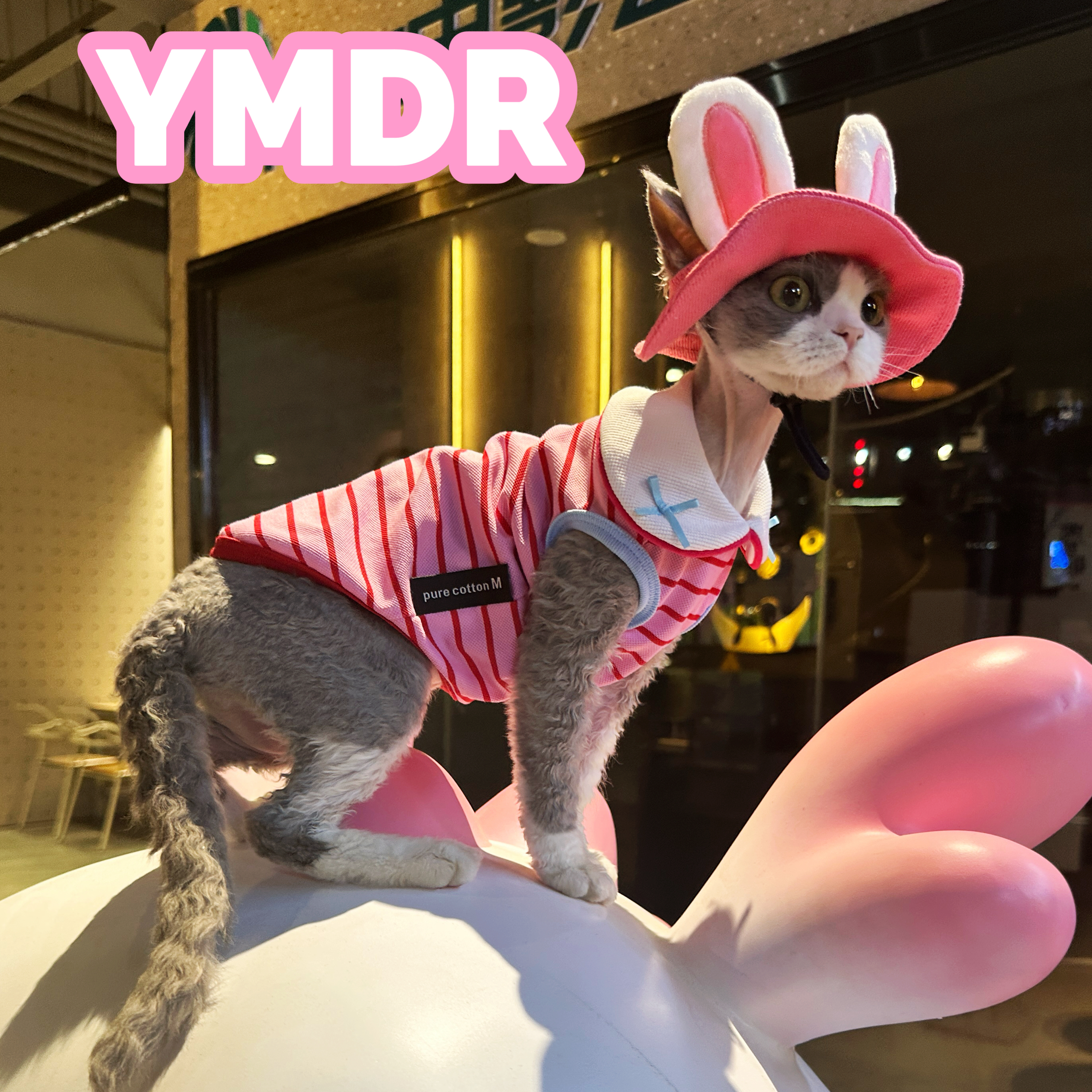 YMDR德文帽子德文猫衣服夏日防晒