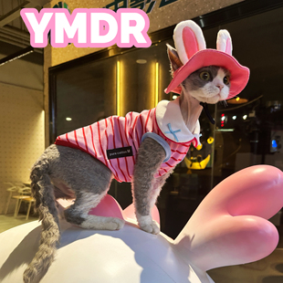 YMDR德文猫帽子无毛猫衣服纯棉娃娃领粉条纹背心猫咪兔耳朵遮阳帽