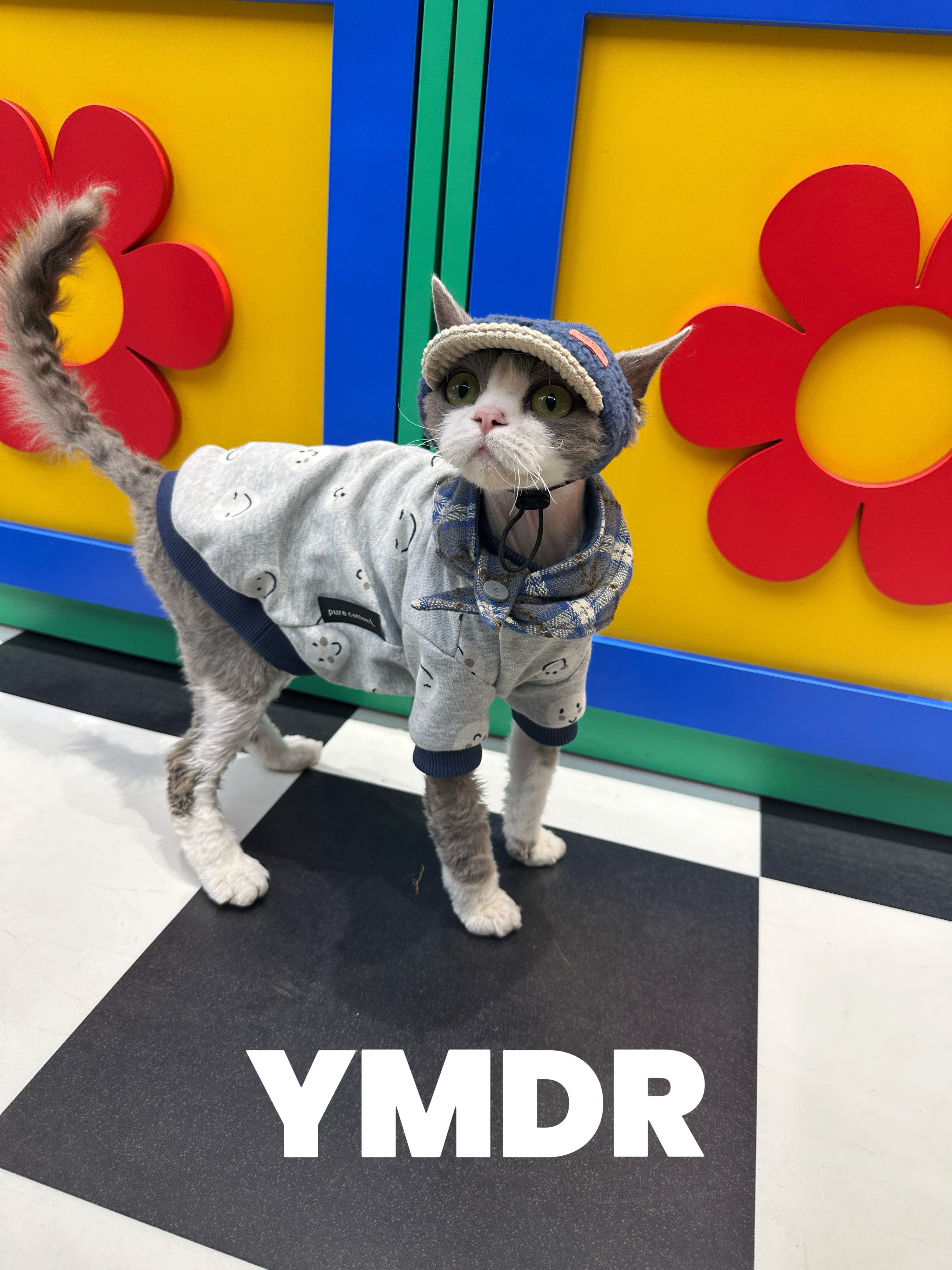 YMDR原创德文衣服德文帽子春款纯棉可爱T恤潮酷棒球帽绅士风围巾