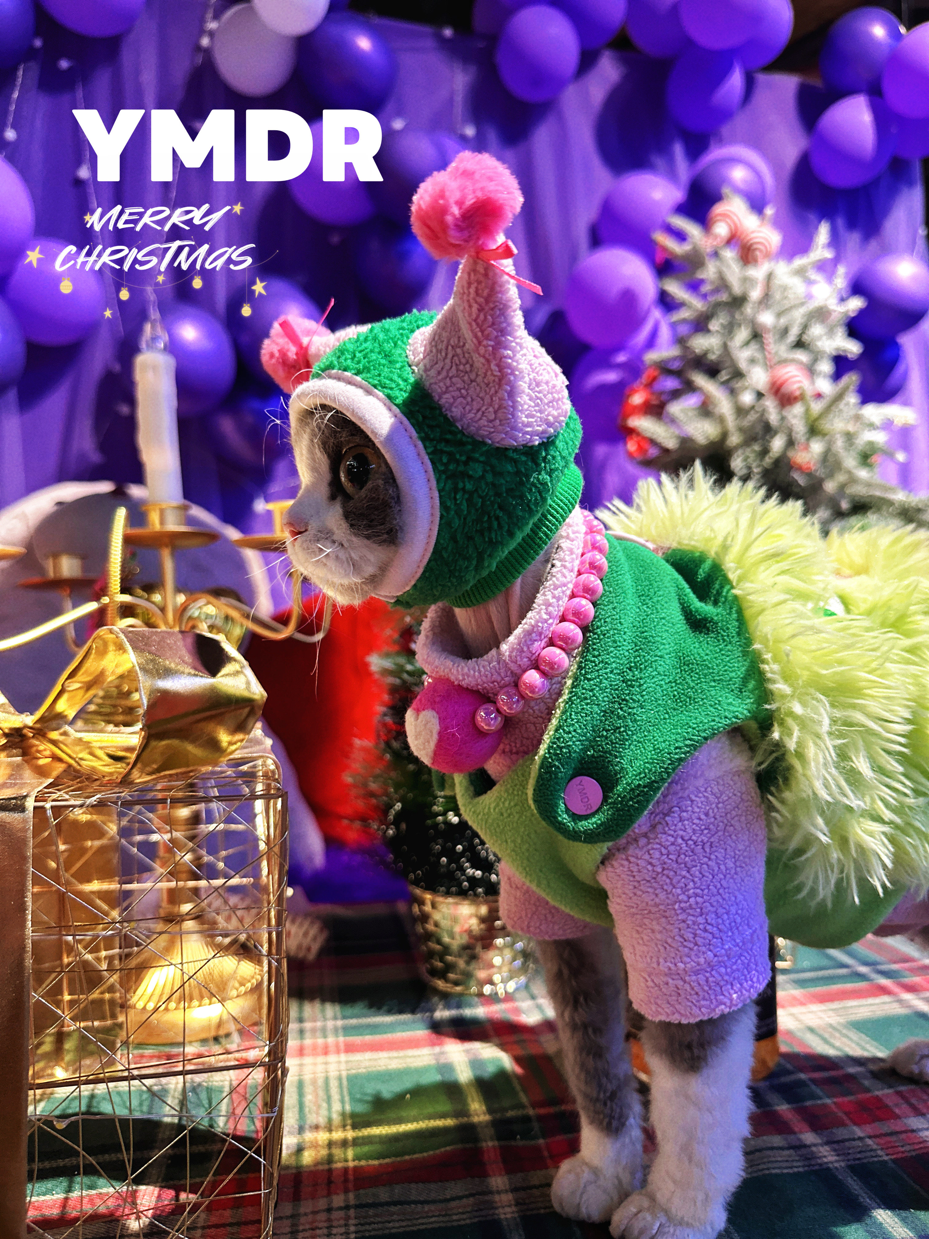 YMDR原创德文衣服奥粒奥四脚衣圣诞装扮保暖马甲炫彩小怪兽套装