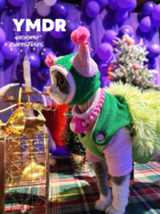 YMDR原创德文衣服奥粒奥四脚衣圣诞装扮保暖马甲炫彩小怪兽套装