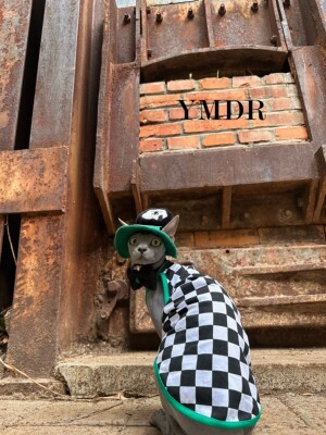 YMDR德文衣服德文帽子无毛毛衣服