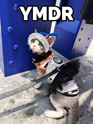 YMDR德文帽子德文胸背原创福利款