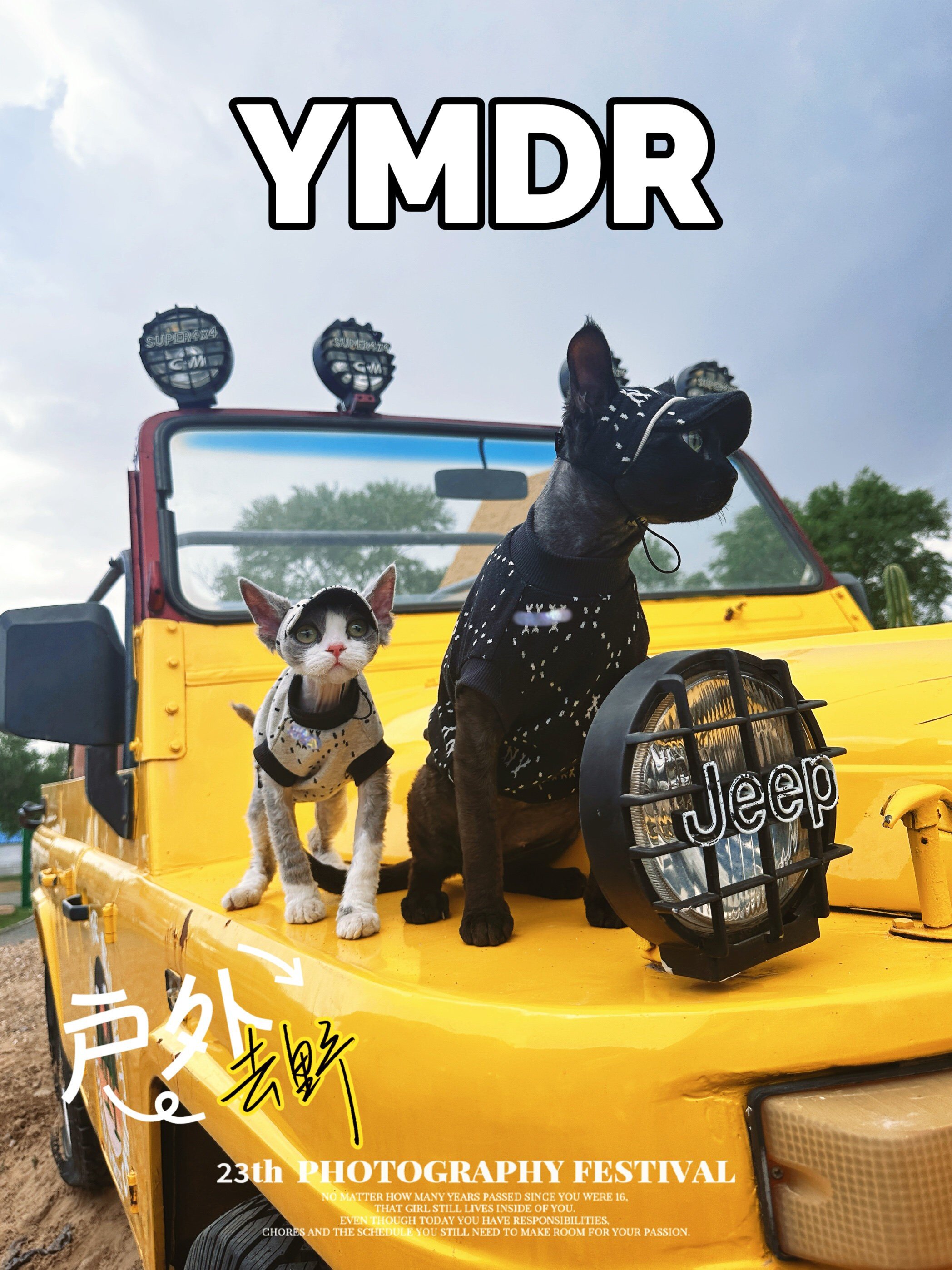 YMDR德文猫衣服德文帽子夏季福利