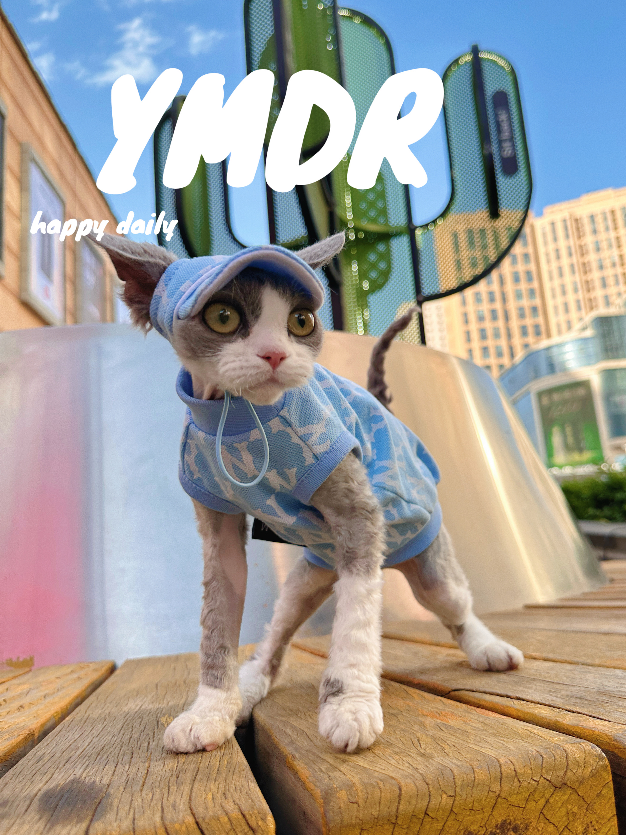 YMDR德文猫衣服猫夏季衣服棒球帽