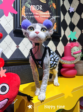 YMDR妖喵大人无毛猫衣服德文猫衣服夏季纯棉豹纹吊带背心球球帽子