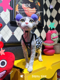 YMDR妖喵大人无毛猫衣服德文猫衣服夏季纯棉豹纹吊带背心球球帽子