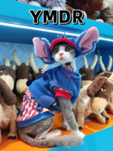 YMDR妖喵大人宠物秋冬纯棉无毛猫衣服德文衣服COS史迪仔可爱套装