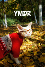 YMDR德文猫无毛猫宠物秋冬保暖衣服 超轻自发热摇粒绒T恤 家居服