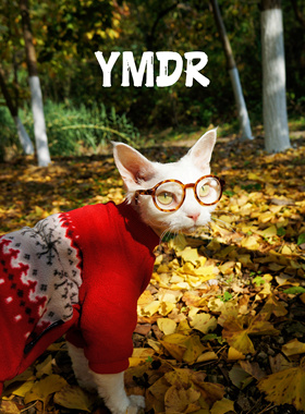 YMDR德文猫无毛猫宠物秋冬保暖衣服 超轻自发热摇粒绒T恤 家居服