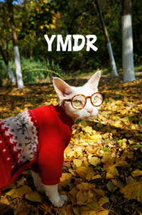 YMDR德文猫无毛猫宠物秋冬保暖衣服 超轻自发热摇粒绒T恤 家居服