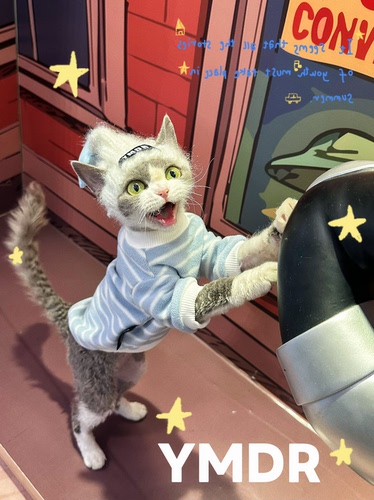 YMDR蓝白条纹自发热T恤星星线帽
