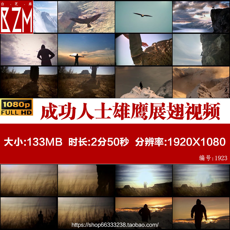 商务成功人士雄鹰展翅翱翔宣传片视频素材攀登奋斗励志希望曙光明