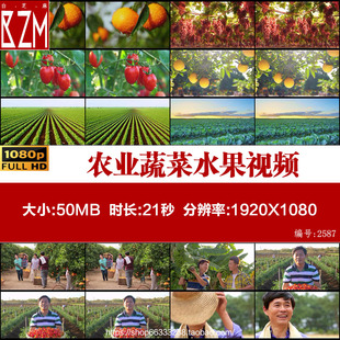 A022农业蔬菜水果三农丰收喜悦小麦金黄农民笑脸视频素材