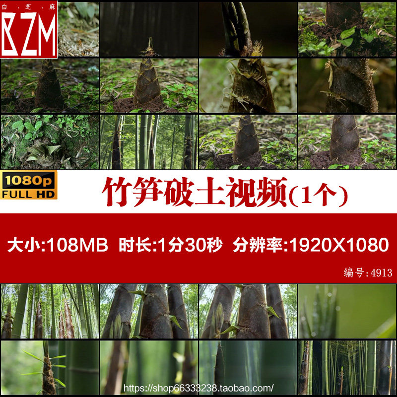 笋的生长竹子生长竹笋破土山笋春笋竹林竹笋生长绿色视频素材,商务/设计服务,短视频制作,淘宝优惠券,粉丝福利购,淘宝优惠卷