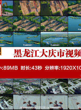 航拍黑龙江大庆市油田石油开采铁人纪念馆王进喜雕像实拍视频素材