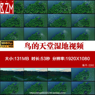 白鹭鹭鸟盘旋天空湿地公园自然生态园林鸟类视频素材