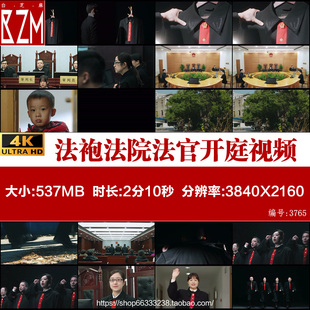 4K法袍法院法官开庭庭审办案宪法宣誓空境视频素材