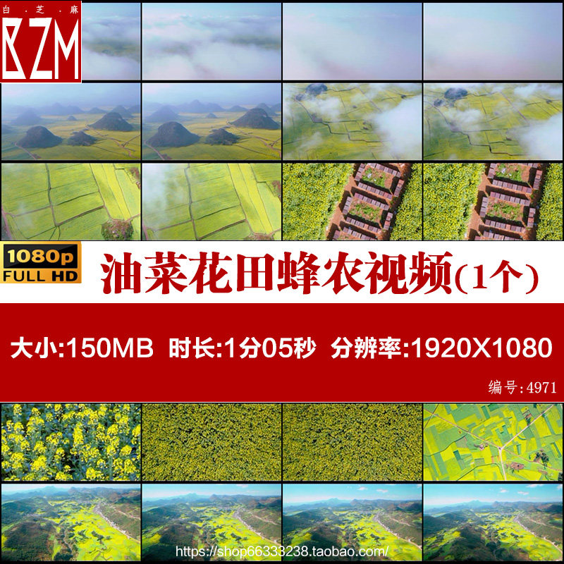 航拍云南曲靖罗平油菜花田蜂农养蜂人采蜂蜜高清实拍视频素材