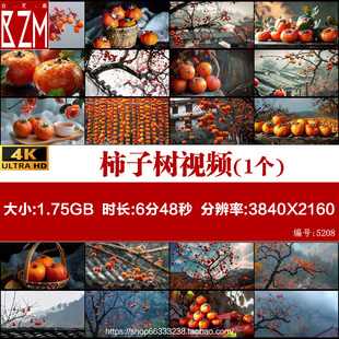 4k柿子柿子树秋天古建筑山景云雾自然风光远景成熟旅背景视频素材