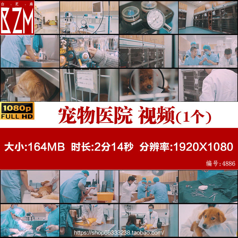 宠物医院 动物护理 猫狗救助治疗 兽医 公益宣传高清实拍视频素材,商务/设计服务,短视频制作,淘宝优惠券,粉丝福利购,淘宝优惠卷