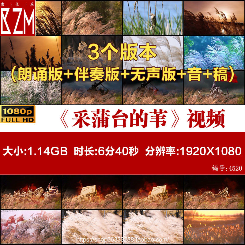 采蒲台的苇朗诵背景视频19齐越节比赛散文配乐伴奏芦苇白洋淀素材