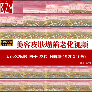 医疗美容皮肤塌陷动画视频素材神经细胞网状纤维老化胶原蛋白流失