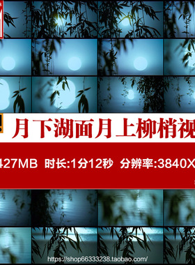 4K实拍诗意月下湖面月上柳梢月满中秋节月亮月光倒影意境视频素材