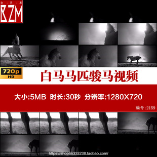 D32 白马马匹骏马气势奔跑四蹄翻腾马鬃毛特写镜头高清视频素材