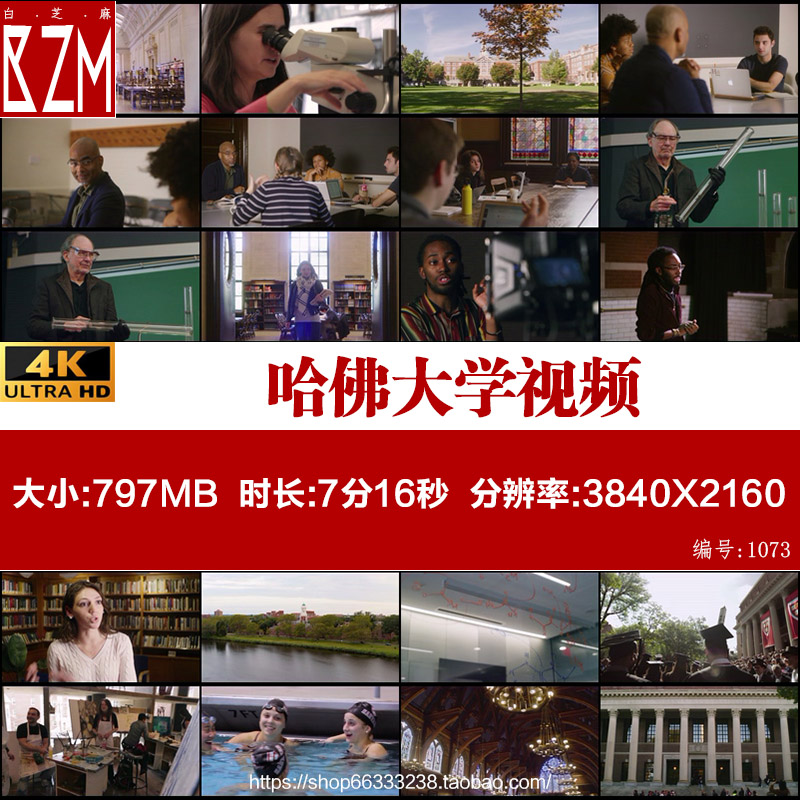 美国哈佛大学视频素材国外大学生高材生上课学习科研兴趣爱好活动