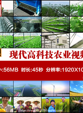 现代高科技绿色农业种植大棚蔬菜农业科技农民笑脸高清视频素材