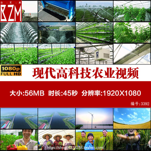 现代高科技绿色农业种植大棚蔬菜农业科技农民笑脸高清视频素材