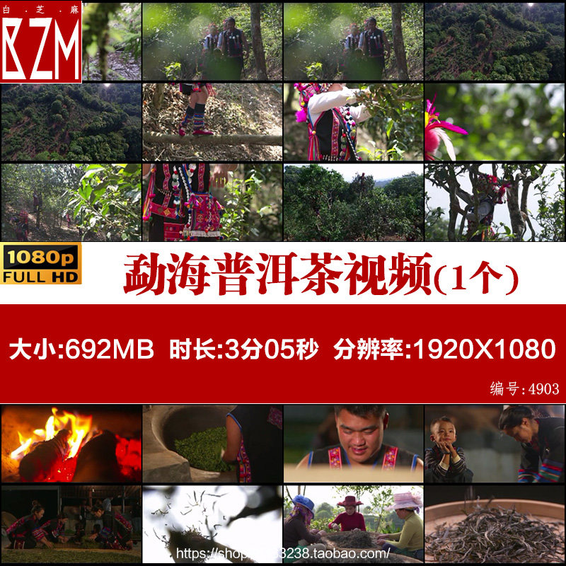西双版纳勐海普洱茶故乡制茶工艺过程布朗族古树茶实拍视频素材,商务/设计服务,短视频制作,淘宝优惠券,粉丝福利购,淘宝优惠卷