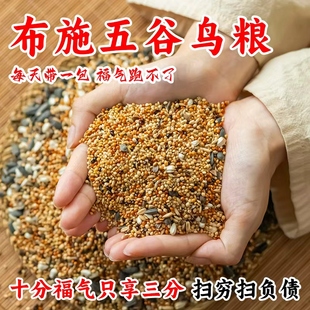 布施鸟食户外喂鸟阳台野外投喂鸟粮谷子五色黍子杂粮谷子麻雀喜鹊
