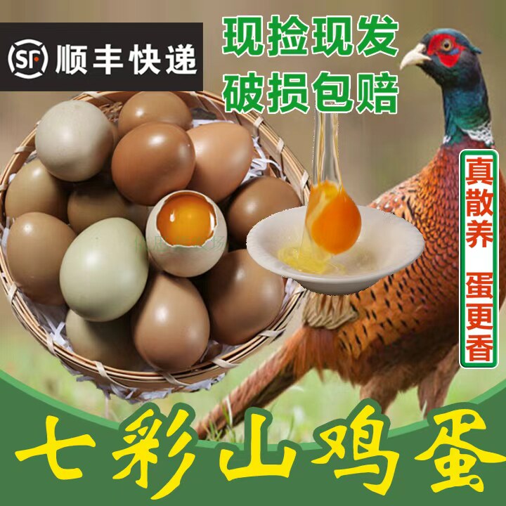 野鸡蛋 七彩山鸡蛋新鲜 野金鸡鸡蛋