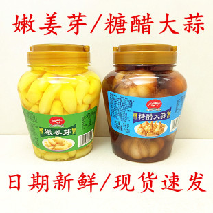 阿高糖醋大蒜头甜蒜醋泡蒜盐渍嫩姜芽泡仔姜咸脆爽口下饭菜下酒菜