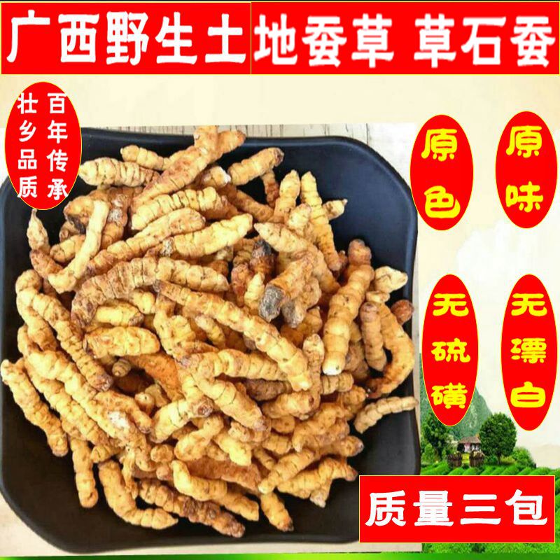 新货广西正品地蚕500克原色干货 草石蚕