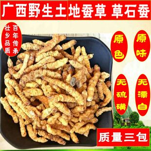 新货广西正品地蚕500克原色干货 草石蚕