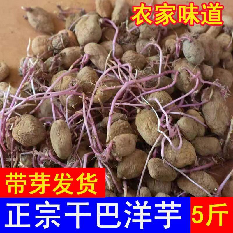 云南干巴洋芋正宗红皮老品种土豆发芽隔年农村马铃薯黄皮黄心土豆