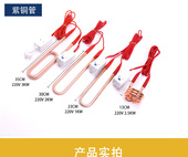 浴桶热得快大功率浴缸浴盆加热 木桶电热棒 游泳池潜水电加热管