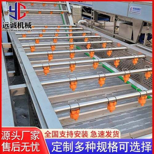 厂家供应豆角气泡清洗机不锈钢果蔬清洗机全自动干枣清洗机