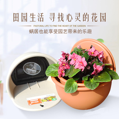 壁挂花盆爱丽丝半圆形树脂塑料