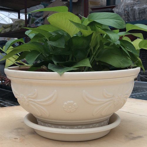 爱丽思加厚树脂圆形吊兰多肉盆