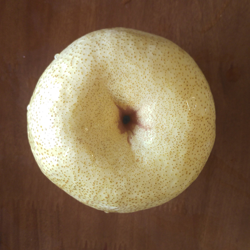 雪梨酥梨砀山梨净10斤烤梨专用