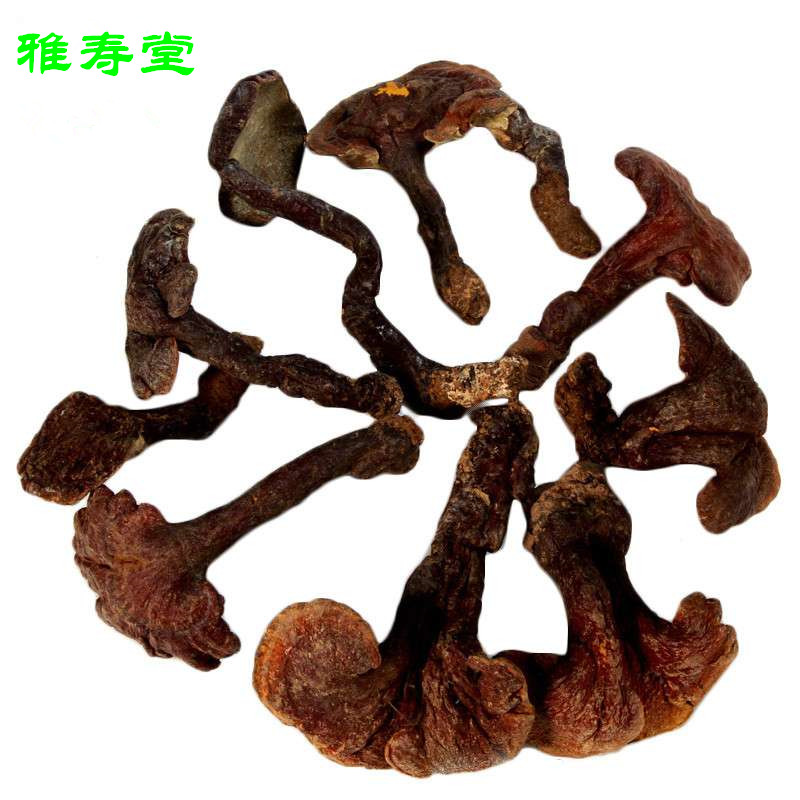 东北长白山纯深山特级天然野生紫 赤灵芝整支正品 可切林芝片打粉