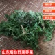 山东烟台带根荠菜野菜新鲜 野生地菜摘好现挖现发水饺馅火锅菜 包邮