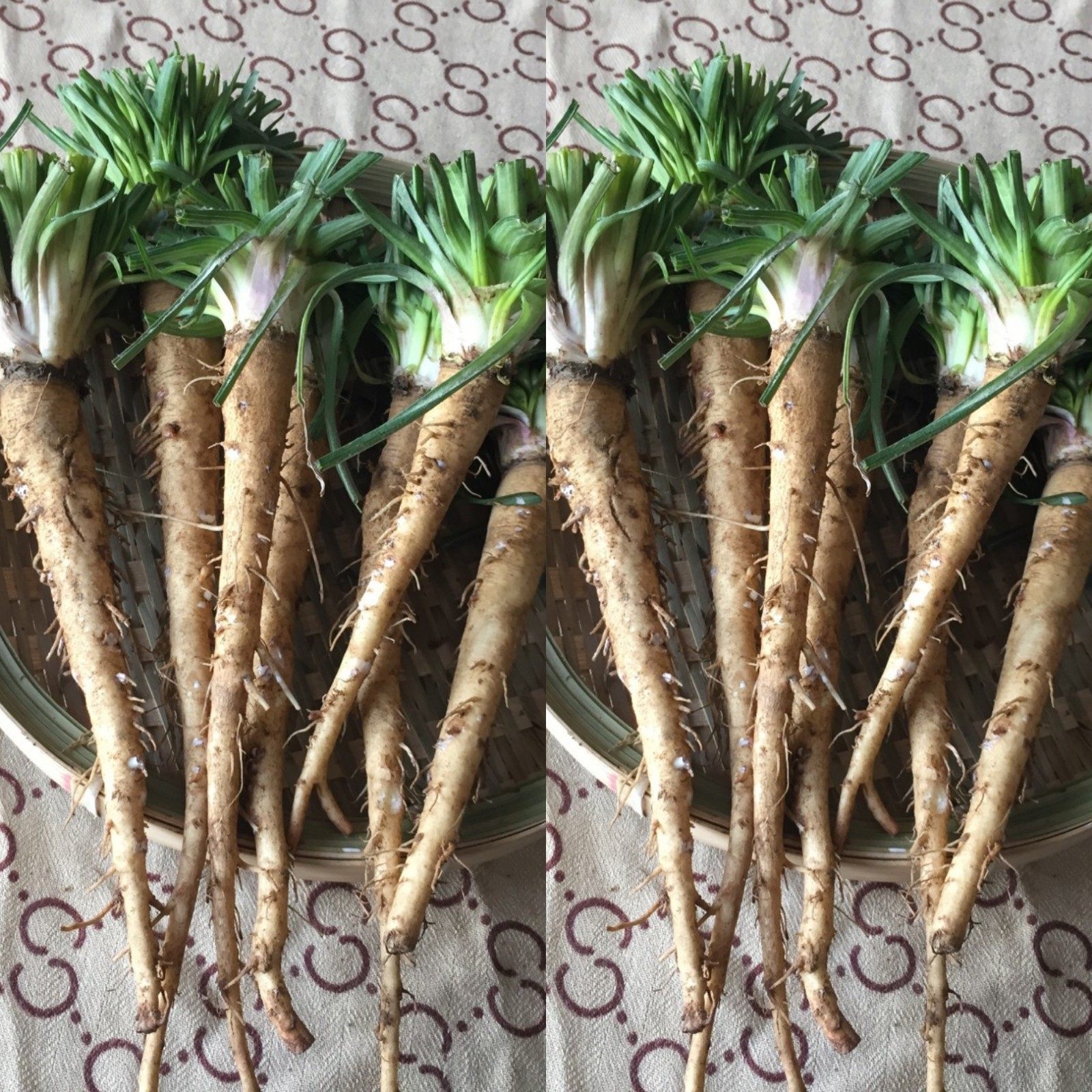 野菜新鲜婆罗门参2斤西洋牛剪牛蒡超级网红蒲公英阳台观赏花