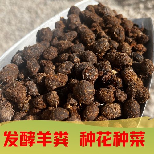 甘卉苑纯羊粪发酵有机肥